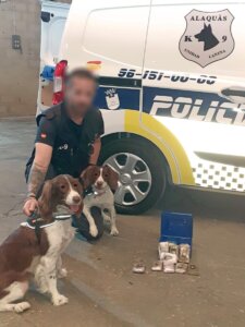 Los perros de la unidad canina de la Policía Local de Alaquàs, ante la droga detectada